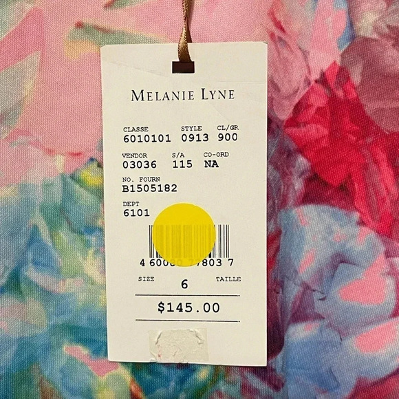 Melanie Lyne Floral Sleeveless Fit & Flare Lined Dress - Picture 9 of 12